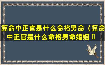 算命中正官是什么命格男命（算命中正官是什么命格男命婚姻 ☘ ）